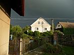 Třibřichy